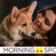 Ein the corgi is cradled by Daniella Pineda's Faye Valentine in a scene from Netflix's Cowboy Bebop.
